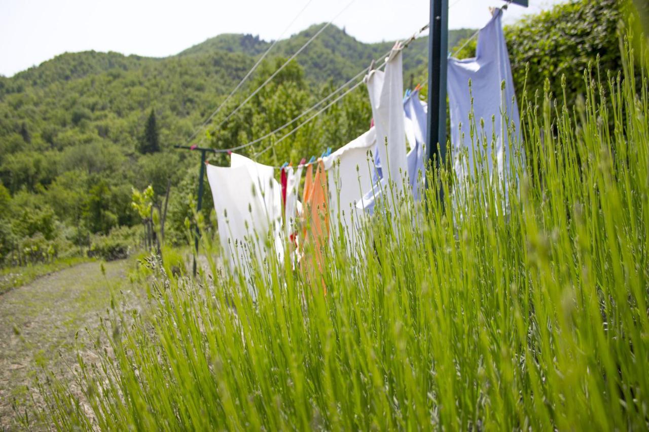 Villa Porcigliano Olive Grove Polcanto Exterior photo
