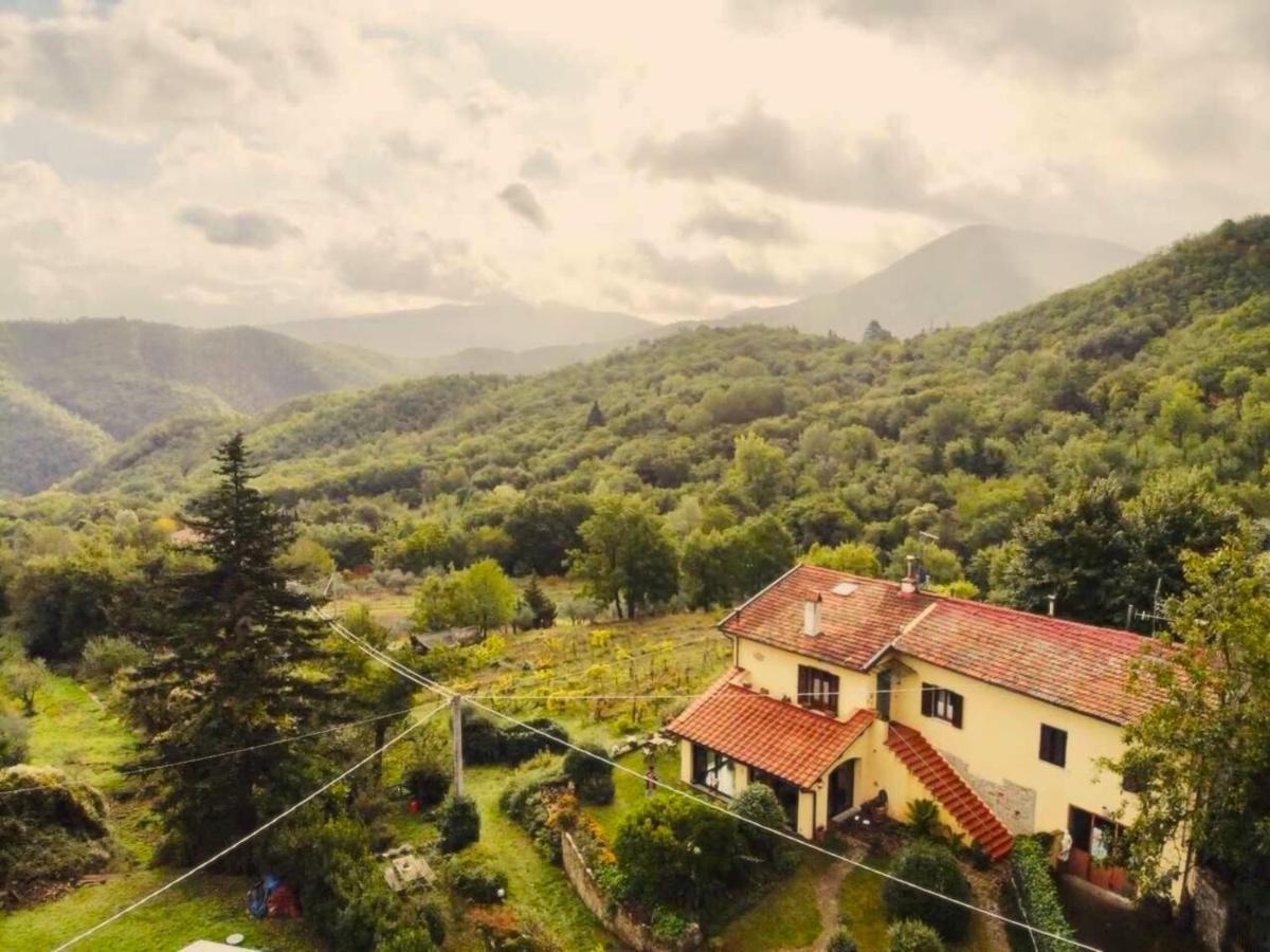 Villa Porcigliano Olive Grove Polcanto Exterior photo
